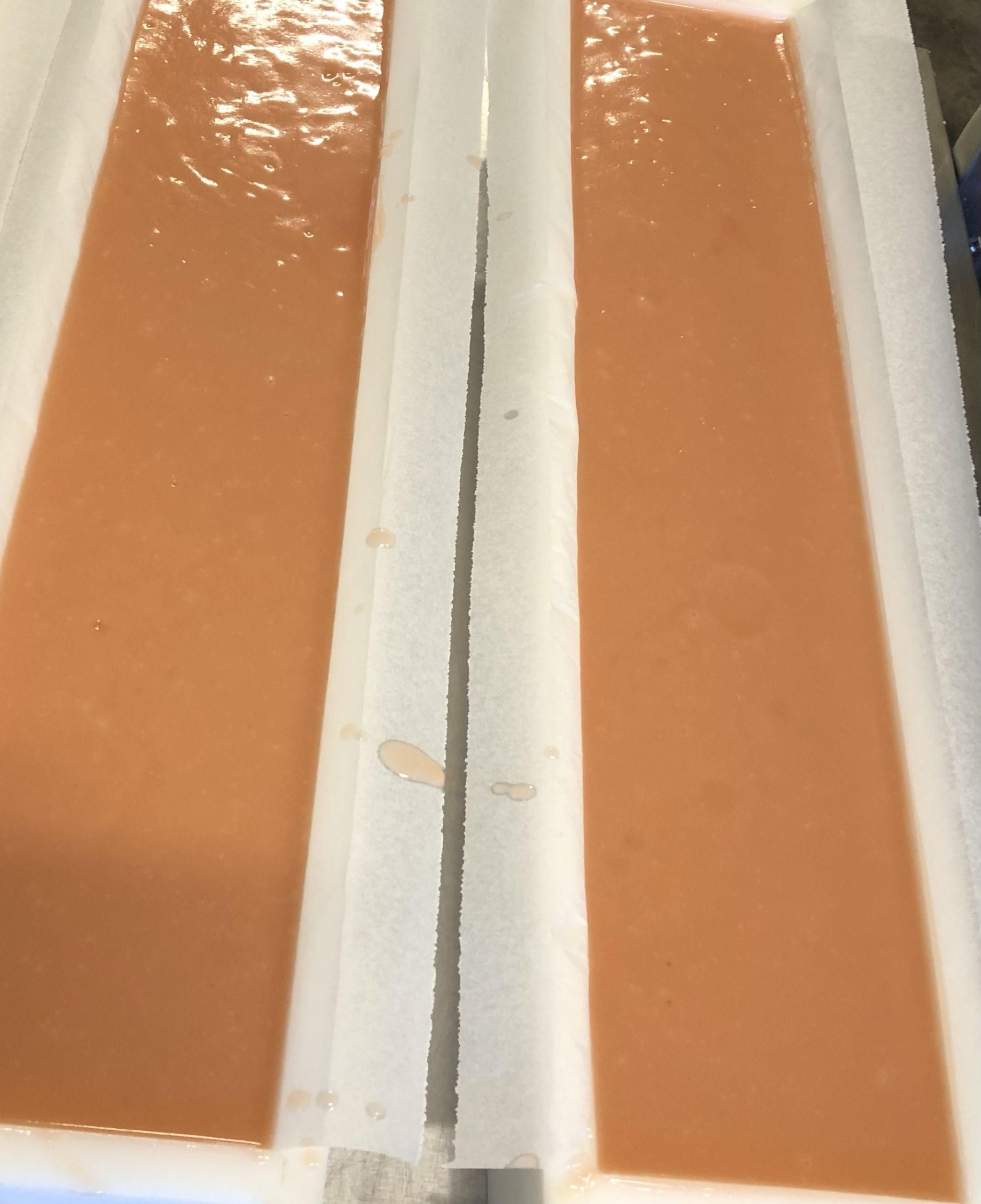 Mango Madness Soap